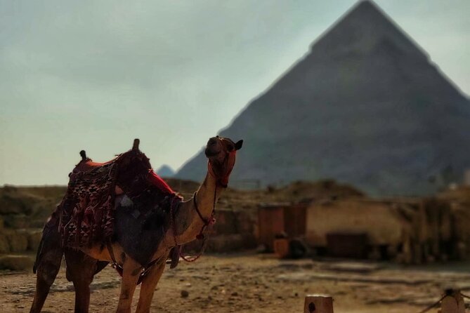 Day Trip to Cairo From Sharm El-Sheikh by Bus - Departure From Sharm El Sheikh