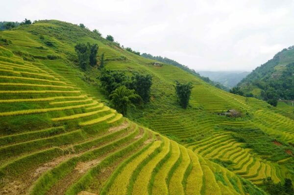 Day Trip to Cat Cat Village - Fanxipang Peak/Lunch - Frequently Asked Questions