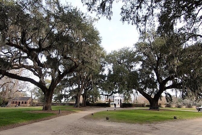 Day Trip to Charleston Tour #5: Bus Tour, Boone Plantation, Lunch and More - Convenience and Pricing