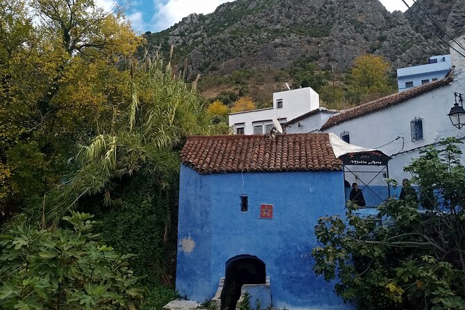Day Trip To Chefchaouen , Small Group - Pricing and Payment