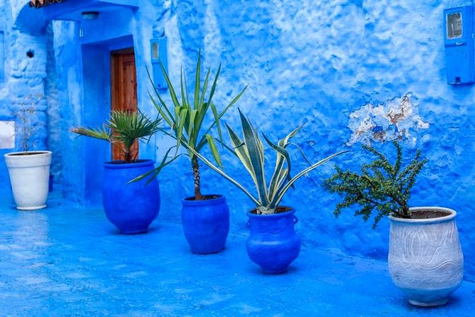 Day Trip To Chefchaouen , Small Group - Safety and Accessibility