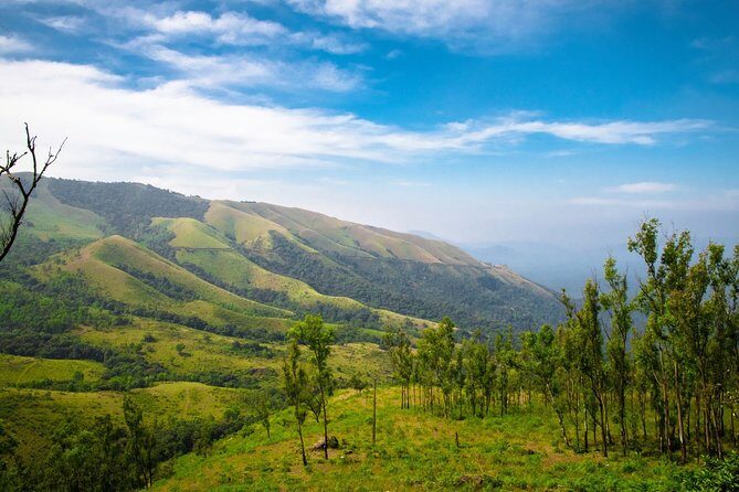 Day Trip to Chikmagalur (Guided Sightseeing Tour by Car from Mysore) - Good To Know