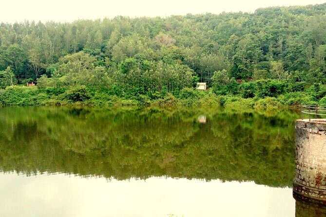 Day Trip to Chikmagalur (Guided Sightseeing Tour by Car from Mysore) - Why Choose This Day Trip?