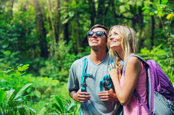 Day Trip to Chikmagalur (Guided Sightseeing Tour by Car from Mysore) - Summary: Is It Worth It?