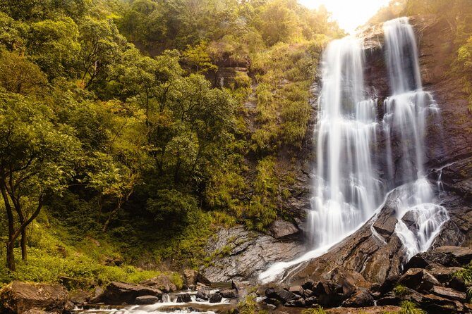 Day Trip to Chikmagalur (Guided Sightseeing Tour by Car from Mysore) - Final Thoughts