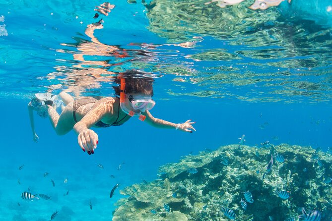 Day Trip to Colored Canyon Dahab and Blue Hole in Sharm El Sheikh - The Sum Up