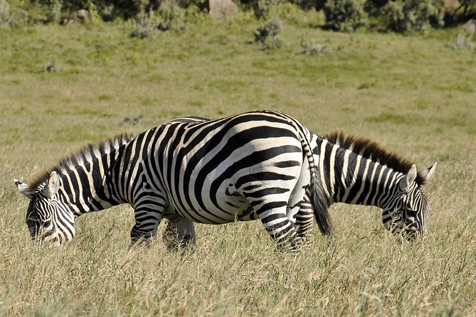 Day Trip To Crescent Island And Hells Gate National Park - Tour Inclusions