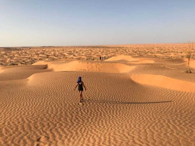 Day Trip to Desert to Ksar Ghilane From Djerba or Zarzis - Highlights of the Day Trip
