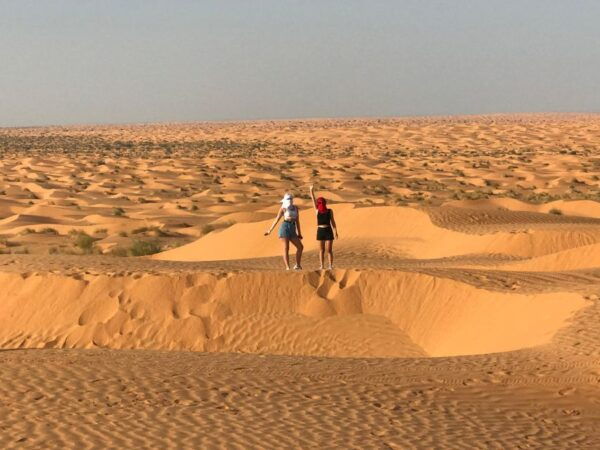 Day Trip to Desert to Ksar Ghilane From Djerba or Zarzis - Common Questions