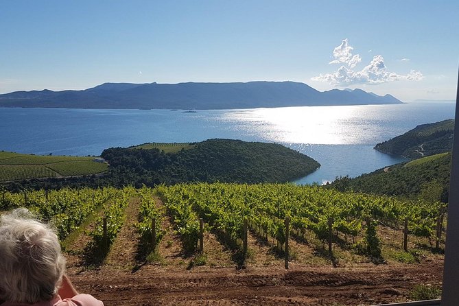 Day Trip to Dubrovnik From Split - Pricing and Booking Information