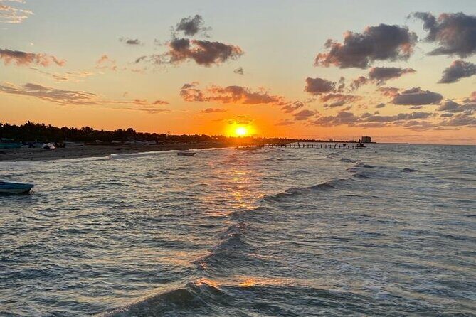 Day trip to El Corchito Ecological Reserve and Playa - Starting Point: Pickup and Comfortable Transportation