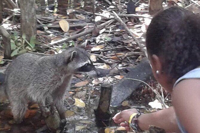Day trip to El Corchito Ecological Reserve and Playa - Final Stop: Centro Vacacional Isstey