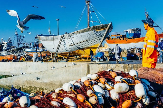 Day Trip to Essaouira City From Marrakech: Private - Inclusions