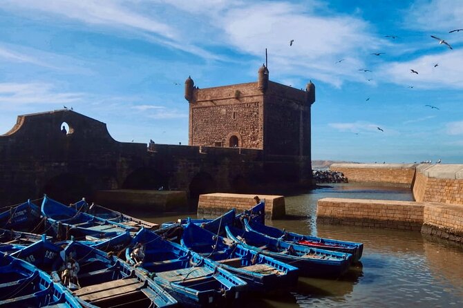 Day Trip to Essaouira - Essaouira Visit