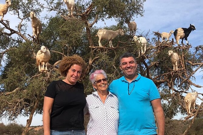 Day Trip to Essaouira From Marrakech - Transportation Details