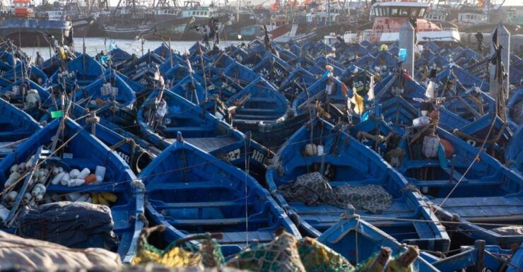 Day Trip To Essaouira From Marrakech - Accessibility
