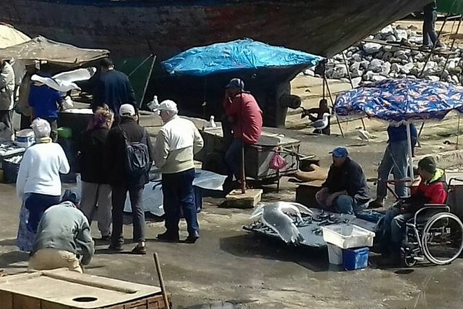 Day Trip to Essaouira From Marrakech - Cancellation and Weather Policy