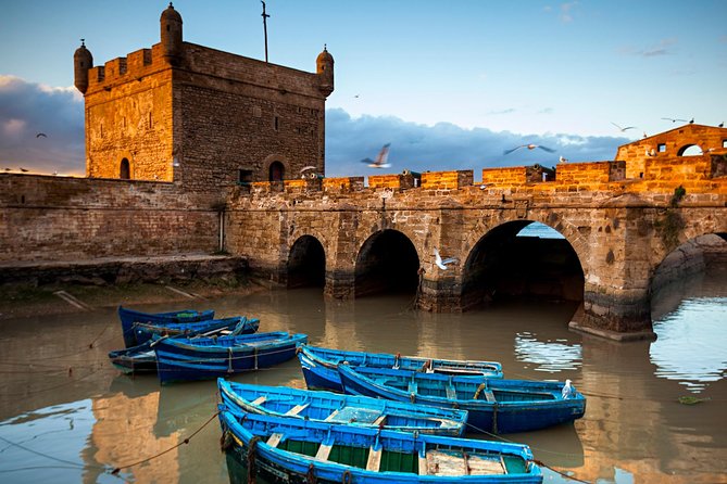 Day Trip to Essaouira Mogador and Argan Tress Forests - Tour Itinerary Highlights