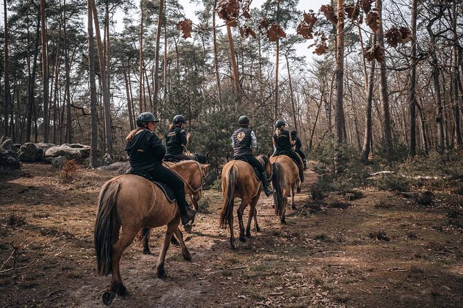 Day Trip to Fontainebleau : Horse Riding, Gastronomy and Castle - Pickup and Meeting Details