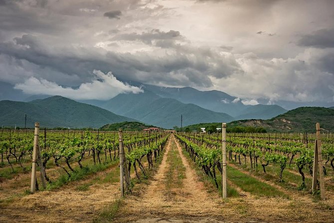 Day Trip to Garedja Caves, Sighnaghi Visit With Organic Wine Tasting and Lunch - Booking Process