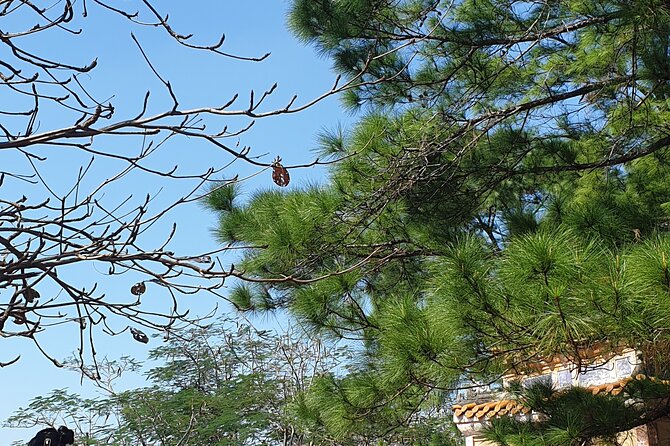 Day Trip To Hue City and Back From Da Nang By Private Car - Common Questions