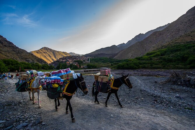 Day Trip to Imlil From Marrakech - Good To Know