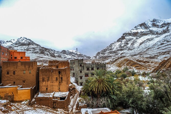 Day Trip to Imlil From Marrakech - Logistics and Pickup Information