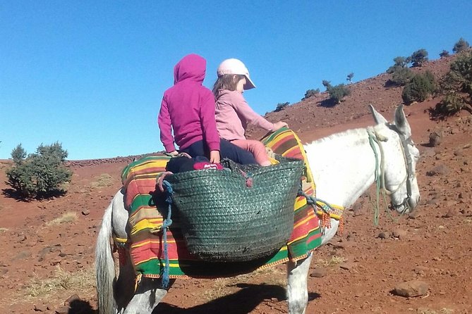 Day Trip to Imlil Valley and High Atlas - Scenic Views and Photo Ops