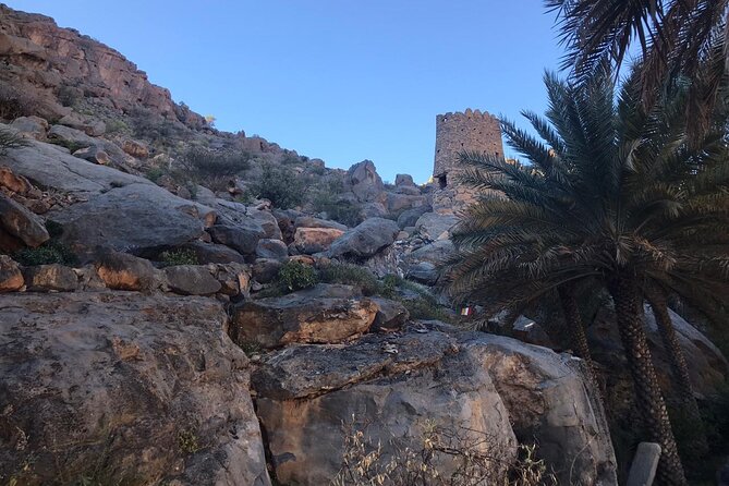 Day Trip to Jabal Shams (Grand Canyon of Oman) Wadi Nakhar, Misfat Al Abriyeen - Tour Details