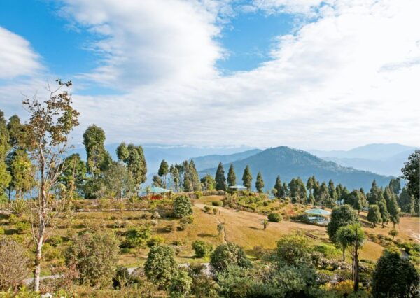 Day Trip to Kalimpong Guided Private Experience From Gangtok - Overview