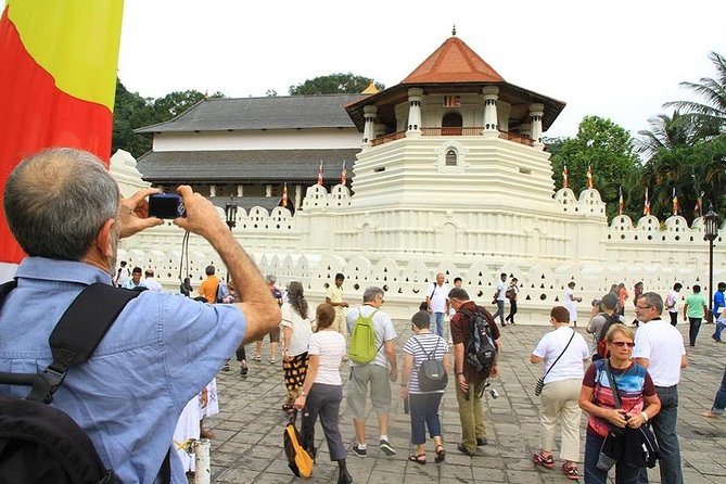 Day Trip to Kandy With Kingfisher Tours - Additional Information
