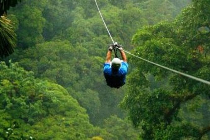 Day Trip to Kereita Forest and Ziplining - Forest Exploration