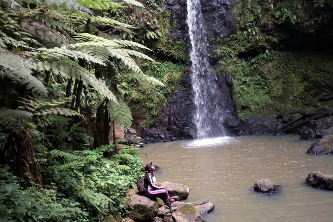 Day Trip to Kereita Forest and Ziplining - Lunch and Leisure Time