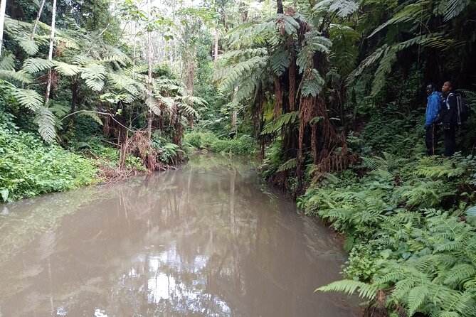 Day Trip to Kereita Forest and Ziplining - Booking Process