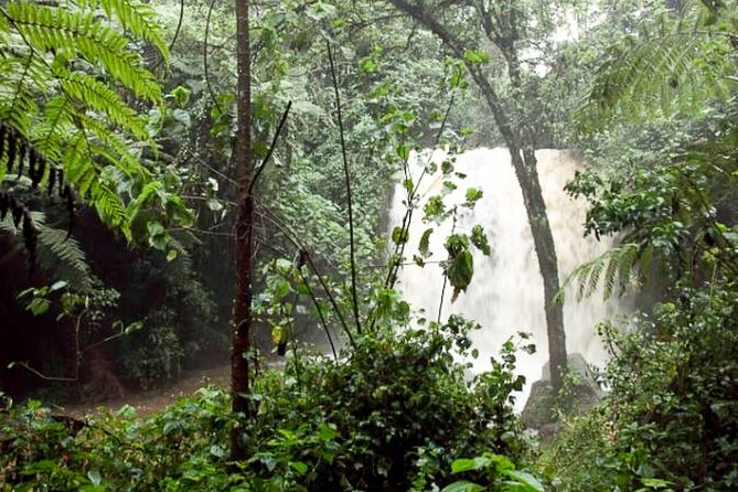 Day Trip to Kereita Forest and Ziplining - Directions and Meeting Points