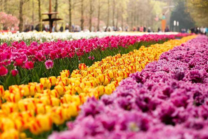 Day Trip to Keukenhof Gardens From Amsterdam With Tour Guide - Pricing and Booking Details