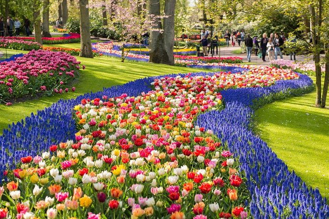 Day Trip to Keukenhof Gardens From Amsterdam With Tour Guide - Traveler Photos and Reviews