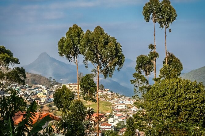 Day Trip to Kodaikanal (Guided Sightseeing Tour by Car From Madurai) - Good To Know