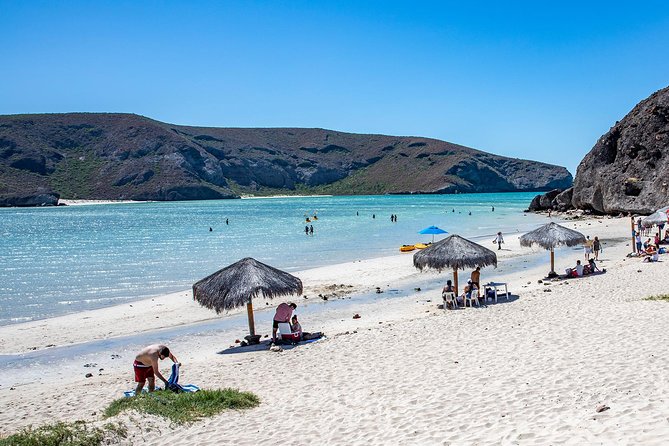 Day Trip to La Paz & Balandra Beach From Cabo San Lucas - Tour Experience Highlights
