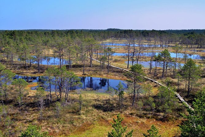 Day Trip to Lahemaa National Park - Trip Details