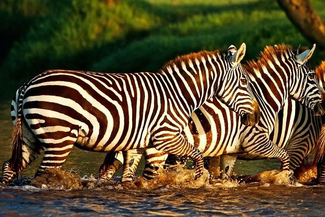 Day Trip to Lake Nakuru From Nairobi - Frequently Asked Questions