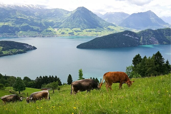 Day Trip to Lucerne and Mt. Rigi With a Local From Zurich - Admission and Additional Information