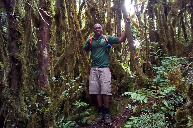 Day Trip To Lupanga Peak - Location Details