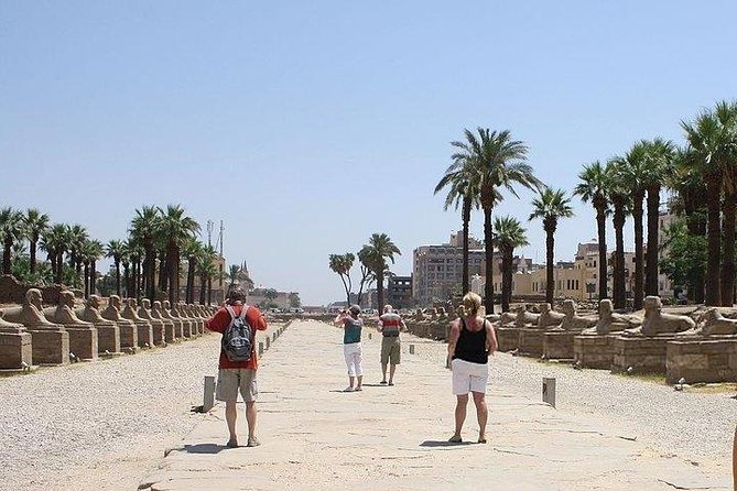 Day Trip to Luxor From Hurghada - Good To Know