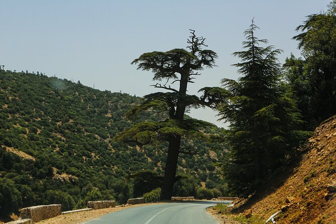 Day Trip to Middle Atlas Mountain and Berber Villages From Fes - Good To Know
