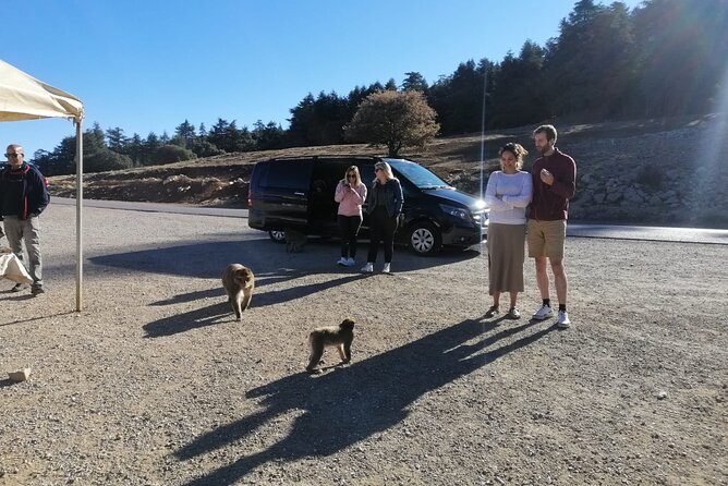 Day Trip to Middle Atlas Mountain and Berber Villages From Fes - Flexible Cancellation Policy