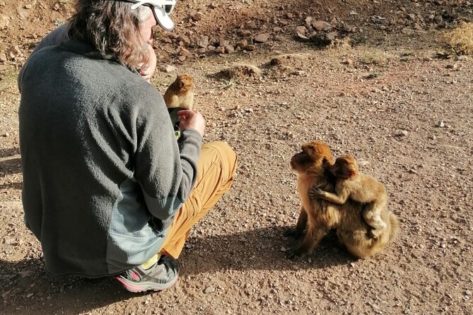 Day Trip to Middle Atlas Mountain and Berber Villages From Fes - Special Promotions and Guarantees