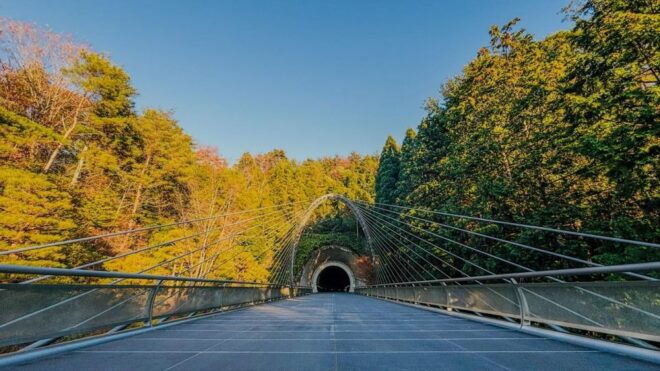 Day Trip to Miho Museum, Lake Biwa,Waterbird Shrine - Important Information for Your Day Trip