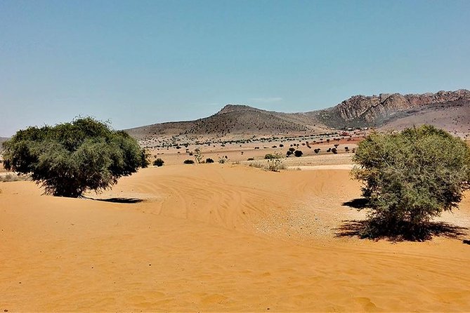 Day Trip to Mini Sahara - Additional Information and Accessibility