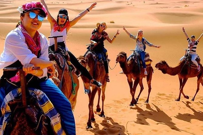 Day Trip to Mini Sahara - Reviews and Verification